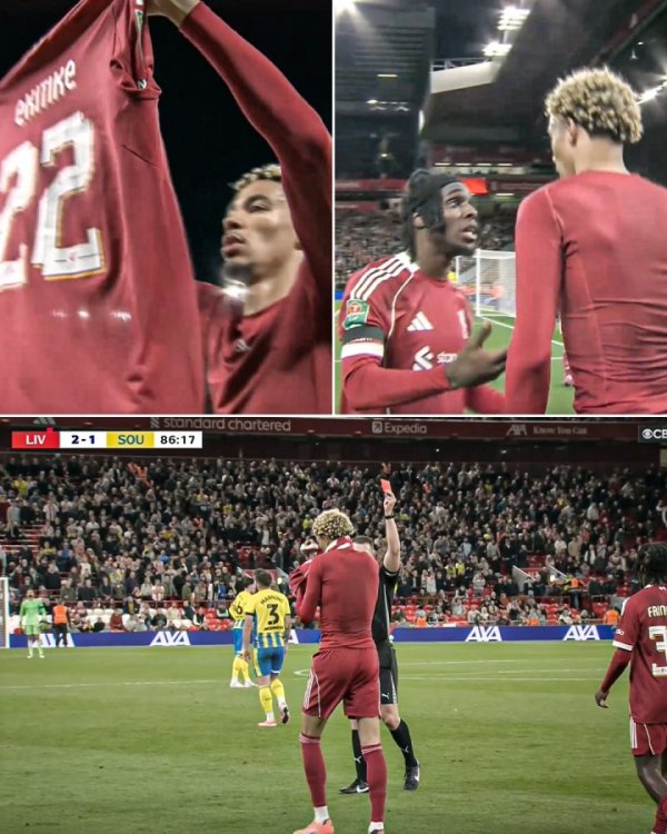 飘了？9500万新援埃基蒂克8场5球1助 职业联赛  杯致胜球  脱衣染红英超停赛